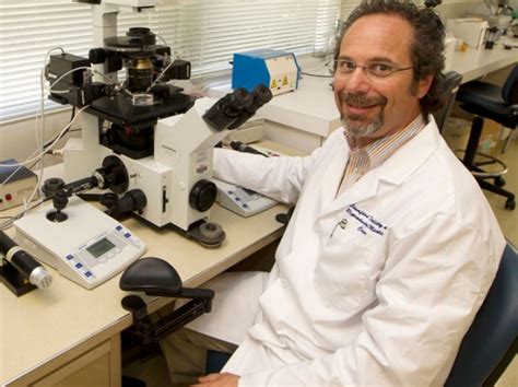 infertility near san pablo|Stanford Medicine Partners Gynecology San Pablo.
